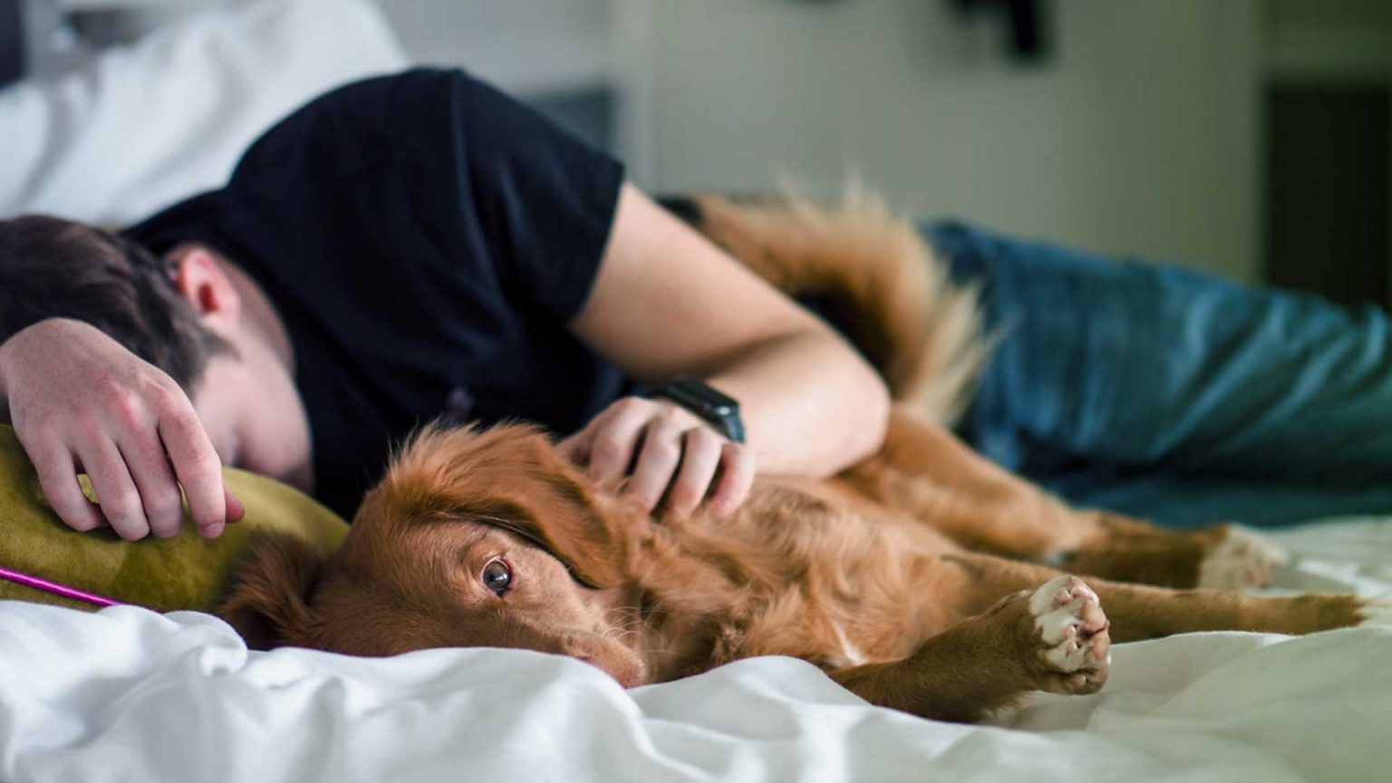 Why do I feel tired all the time? 3 reasons for fatigue InstantScripts